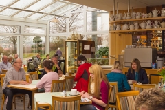 Cafeteria